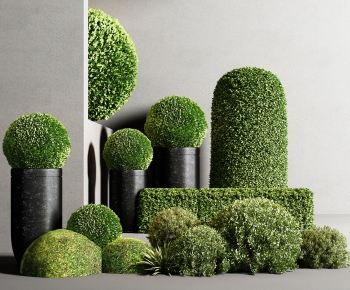 Modern Shrubbery-ID:649188045
