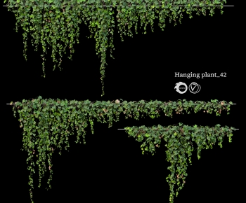 Modern Vine-ID:902498012