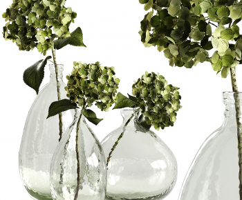 Modern Aquatic Green Plant-ID:223380097