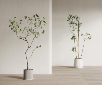 Modern Ground Green Plant Potted Plants-ID:222465048