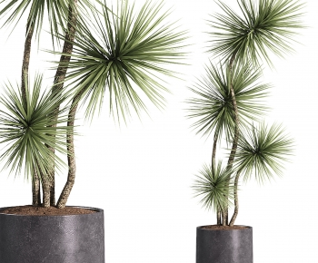 Modern Ground Green Plant Potted Plants-ID:763900336