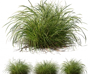 Modern The Grass-ID:232245922