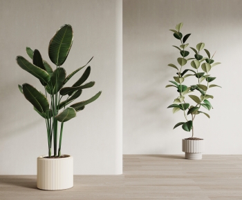 Modern Ground Green Plant Potted Plants-ID:830755003