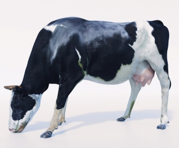 Modern Mammal-ID:852333073