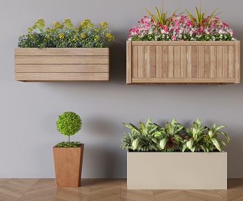 Modern Flower Bed, Flower Bowl, Flower Box-ID:583486084