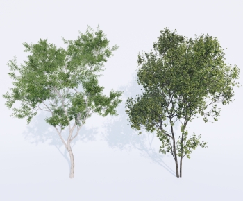 Modern Tree-ID:198709013