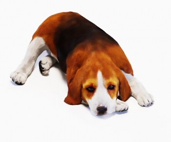 Modern Animal Dog-ID:684293991