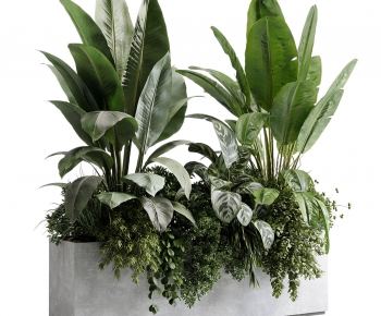 Modern Flower Bed, Flower Bowl, Flower Box-ID:277434118