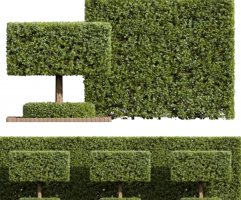 Modern Shrubbery-ID:898394119