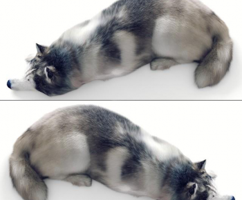 Modern Animal Dog-ID:437413933