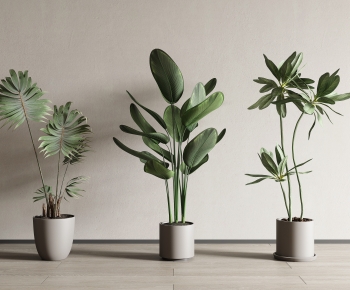 Modern Ground Green Plant Potted Plants-ID:520620383