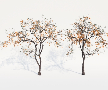 Modern Tree-ID:617024901