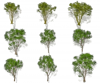 Modern Tree-ID:711453917