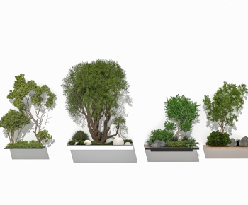 Modern Plant Pile-ID:721229083