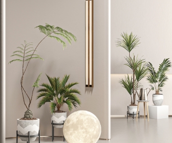 Modern Potted Green Plant-ID:338234906