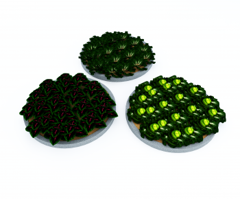 Modern Crop-ID:303607944