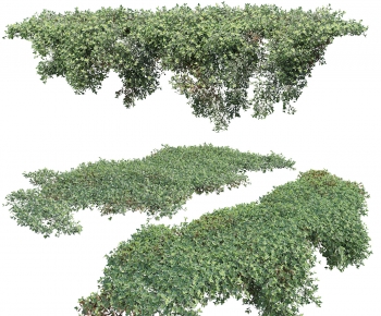 Modern Vine-ID:434379631