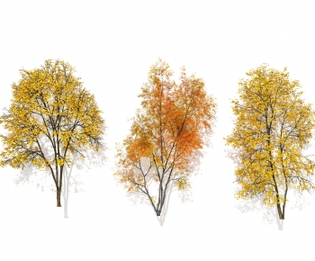 Modern Tree-ID:357721098