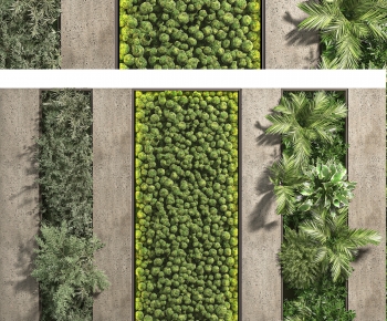 Modern Plant Wall-ID:775401123
