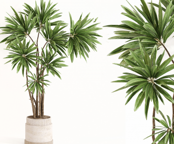 Modern Ground Green Plant Potted Plants-ID:767215978