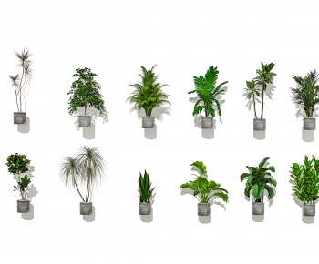 Modern Ground Green Plant Potted Plants-ID:618325001