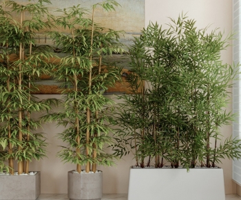 Modern Ground Green Plant Potted Plants-ID:669281961