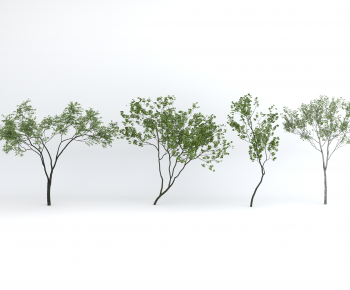 Modern Tree-ID:904800999