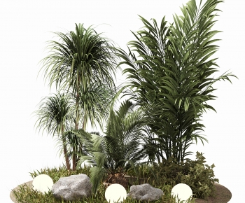 Modern Plant Landscaping-ID:581465963