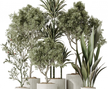 Modern Ground Green Plant Potted Plants-ID:836904058