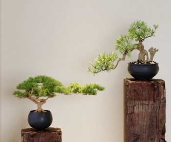 New Chinese Style Bonsai-ID:907536035