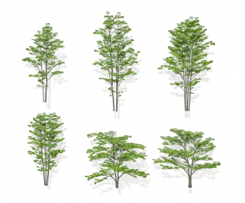 Modern Tree-ID:458880906