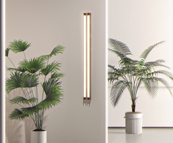 Modern Ground Green Plant Potted Plants-ID:547180251
