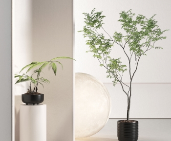 Modern Ground Green Plant Potted Plants-ID:483923916