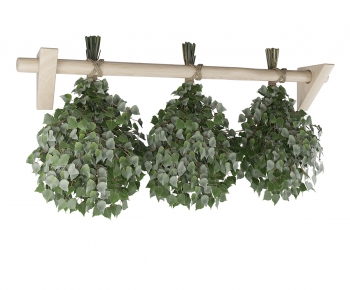 Modern Plant-ID:519743926