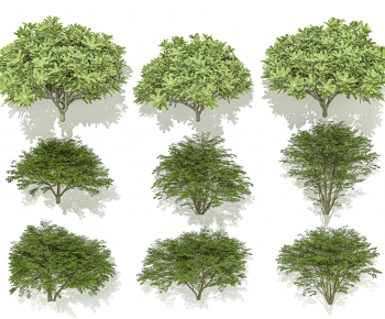 Modern Shrubbery-ID:202286961