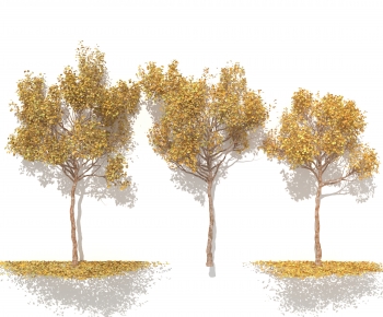 Modern Tree-ID:761531114