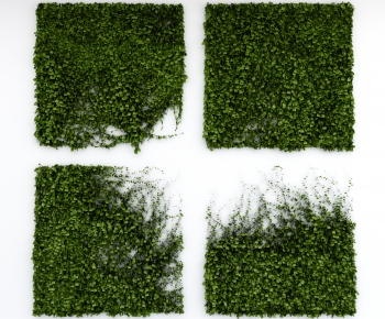 Modern Plant Wall-ID:127614025