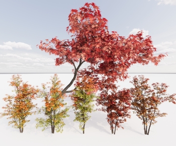 Modern Tree-ID:778326997