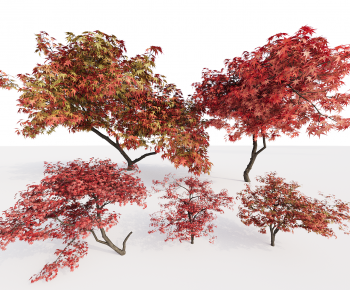 Modern Tree-ID:183069944