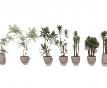 Modern Ground Green Plant Potted Plants-ID:890624054