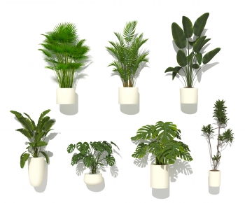 Modern Ground Green Plant Potted Plants-ID:597081211