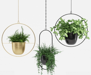 Modern Chlorophytum Comosum-ID:773132096