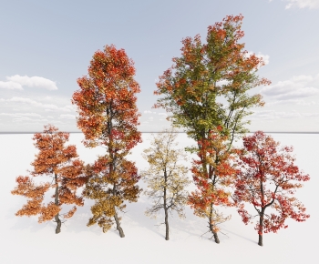 Modern Tree-ID:169555909