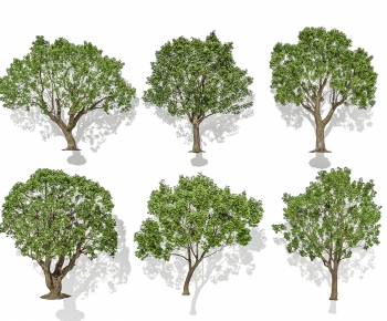 Modern Tree-ID:823745019