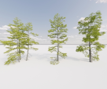 Modern Tree-ID:213389448