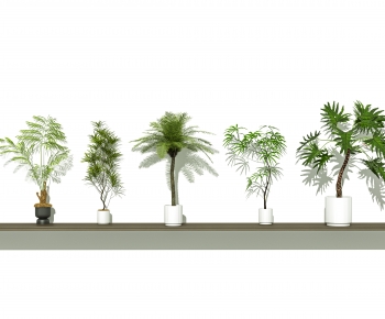 Modern Ground Green Plant Potted Plants-ID:784239056