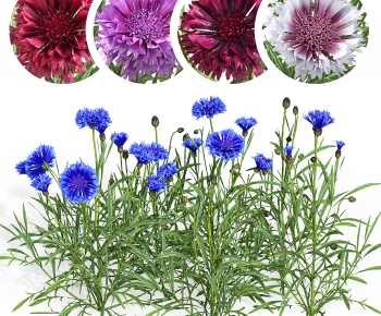 Modern Flowers And Grass-ID:252923978