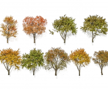 Modern Tree-ID:255042083