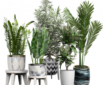 Modern Ground Green Plant Potted Plants-ID:546133041