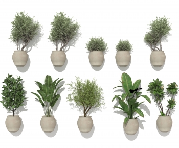 Modern Ground Green Plant Potted Plants-ID:189285997